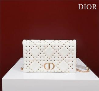 DIOR Handbags 1230